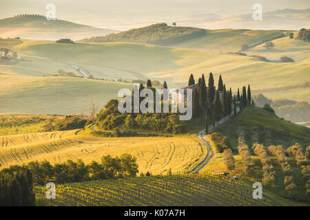 Podere Belvedere, San Quirico d ' Orcia, Val d ' Orcia, Toskana, Italien Stockfoto