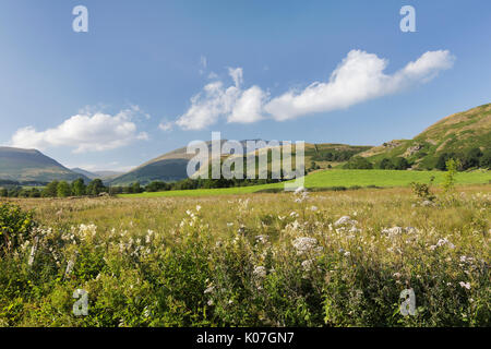 Auf der Suche nach hohen Rigg (rechts) und niedrige Rigg von der Gasse in der Nähe von Dale unten, süd-östlich von Keswick, Lake District. Blencathra ist in der Ferne. Stockfoto