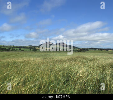 Blick auf die Eildon Hills aus dem Südwesten suchen, Scottish Borders Stockfoto