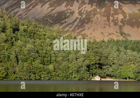 Die Aussicht über das nördliche Ende der Crummock Water suchen, zeigt das Boat House, Lanthwaite Holz und jenseits, Grasmoor, Lake District, Cumbria, Großbritannien Stockfoto