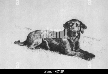 Illustration von Cecil Aldin, Hunde des Tages Stockfoto