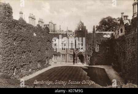 Die efeubedeckten Mauern des Sidney Sussex College, Cambridge Stockfoto