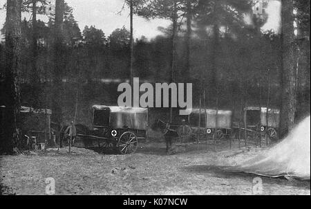Rettungswagen an der Ostfront, Russland, WW1 Stockfoto