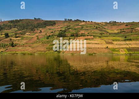 Hügel, auf dem Wasser, Lake Bunyonyi, Uganda Stockfoto