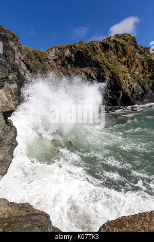 Wellen, Spray, Mullion Cove, Lizard Halbinsel, Cornwall, England, Vereinigtes Königreich Stockfoto