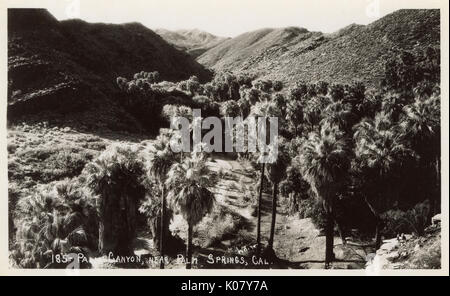 Palm Canyon in der Nähe von Palm Springs, Riverside County, Kalifornien, USA. Ende der 1930er Jahre Stockfoto