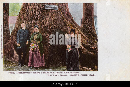 General Fremont und Tree, Santa Cruz, Kalifornien, USA Stockfoto