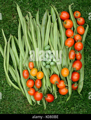 Frische grüne Stangenbohnen mit roten und gelben Tomaten und cucamelons auf Gras Stockfoto