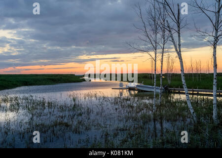 Wasserkocher, Lake Huron, Ontario, Kanada, Nordamerika Stockfoto