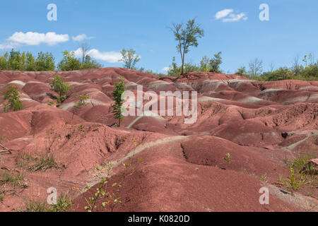 Cheltenham Badlands, Caledon, Ontario, Kanada Stockfoto