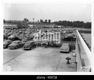 Parkplatz von Northwood Einkaufszentrum mit Hunderten von Autos, Lesen und Acme-Märkte in den Boden zurück, die Bäume und die straßenlaternen sind überall zu, Baltimore, Maryland, 1951. Stockfoto