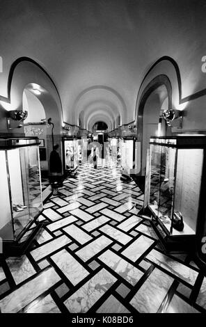 PARIS HOTEL LUTETIA - erbaut 1910 - JUGENDSTIL UND ART DECO PERIODE - berühmte historische Hintergründe und Besucher - SILBER FILM © Frédéric BEAUMONT Stockfoto