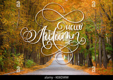Hallo Herbst Kalligraphie schrift Text auf der Straße durch Sommer Allee läuft Stockfoto