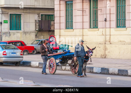 Ägyptische Volk mit Esel auf Straßen Alexandria, Ägypten Stockfoto