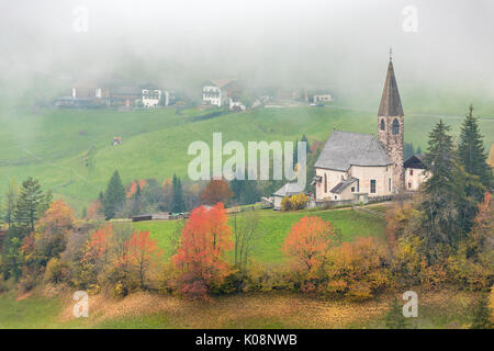 Kirche durch die herbstlichen Bäume und Nebel umgeben. Santa Maddalena, Funes, Bozen, Trentino Alto Adige, Südtirol, Italien, Europa. Stockfoto