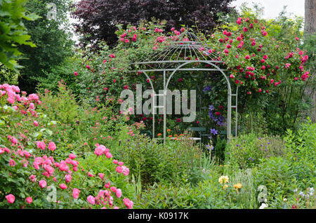 Klettern Rose (rosa Laguna) auf einem Garten Pavillon. Design: Marianne und Detlef lüdke Stockfoto