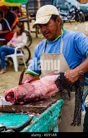 Der Mensch bereitet frisch Fisch, der für den Markt in Puerto Lopez Ecuador am 19.August 2016 gefangen Stockfoto