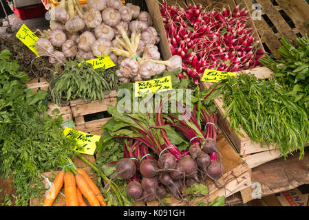 Knoblauch (Allium sativum), Gartenradieschen (Raphanus sativus subsp. Sativus), rote Rüben (Beta vulgaris var. conditiva) und Estragon (Artemisia Stockfoto