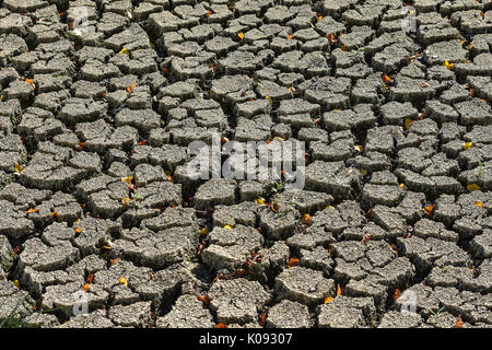 Risse im Schlamm auf getrocknete bed von See - Fran, ce. Stockfoto