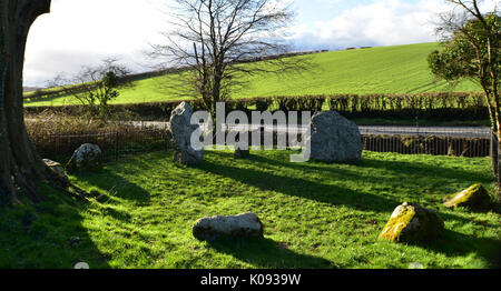 Winterbourne Abbas neun Steine alten Kreis Stockfoto