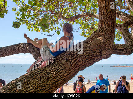 Frau entspannen im Schatten der Baum Stockfoto