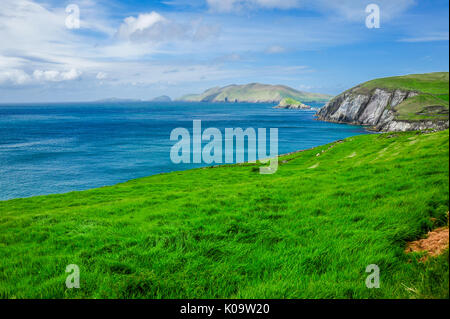 Irische Küste auf der Halbinsel Dingle Stockfoto