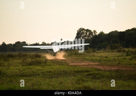 Cessna 175 Landung auf einem schmutzigen Landebahn im Pantanal in Brasilien Stockfoto