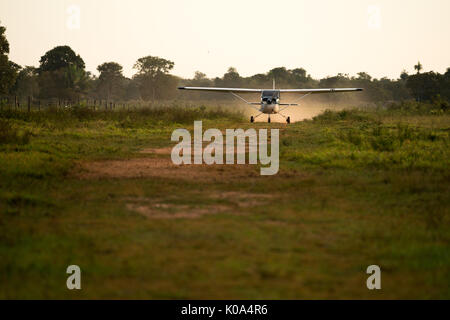 Cessna 175 Landung auf einem schmutzigen Landebahn im Pantanal in Brasilien Stockfoto