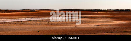 Salt Lake, Lake McLeod, Gascoyne, Western Australia Stockfoto