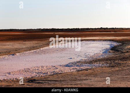 Salt Lake, Lake McLeod, Gascoyne, Western Australia Stockfoto