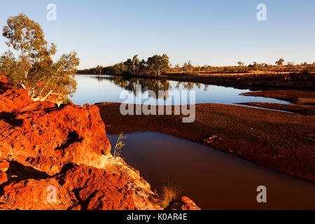 Rocky Pool und Eukalyptus Gum Tree, einem Abschnitt der Gascoyne River, die nie trocken wird, Gascoyne, Western Australia Stockfoto