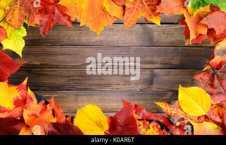 Herbstlaub Rahmen rot gelb grün Farben Stockfoto