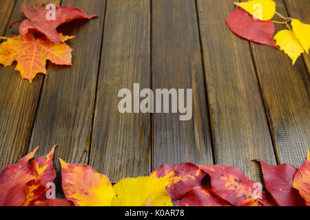 Herbstlaub rot gelb grün auf Holz Tisch Hintergrund Stockfoto