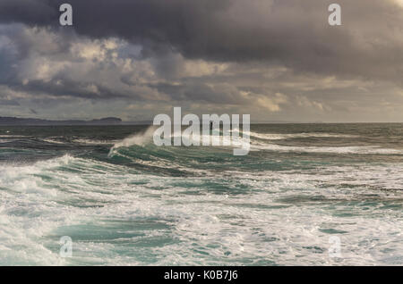 Welle brechen und der kleinen Stand up paddleboarder Surfen, Long Reef, Northern Beaches, Sydney, NSW, Australien Stockfoto