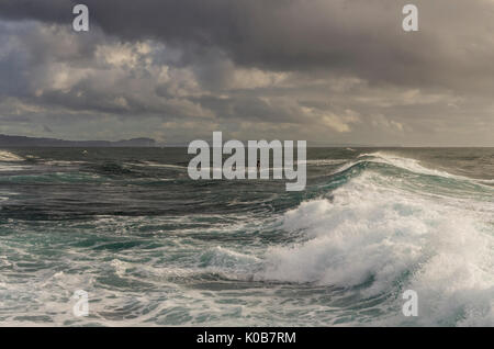 Welle brechen und der kleinen Stand up paddleboarder Surfen, Long Reef, Northern Beaches, Sydney, NSW, Australien Stockfoto