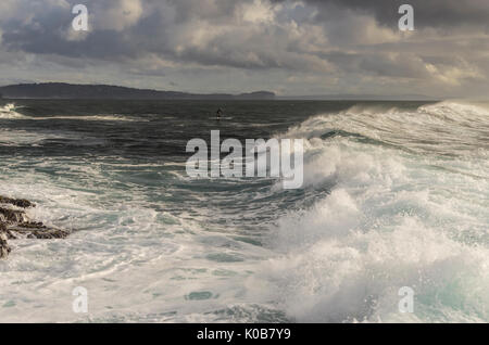 Welle brechen und der kleinen Stand up paddleboarder Surfen, Long Reef, Northern Beaches, Sydney, NSW, Australien Stockfoto