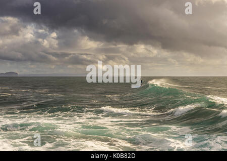 Kleine Stand up paddleboarder Surfen, Long Reef, Northern Beaches, Sydney, NSW, Australien Stockfoto