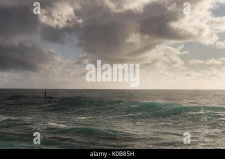 Kleine Stand up paddleboarder Für eine Welle, Long Reef, Northern Beaches, Sydney, NSW, Australien warten Stockfoto