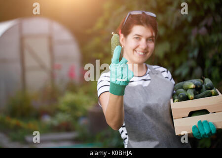 Porträt der jungen brunette Agronom mit Getreide der Gurken in Feld auf dem Hintergrund der Anlage Stockfoto