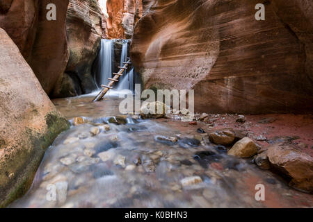 Wasserfall und Leiter in Kanarra Creek Canyon. Kanarraville, Bügeleisen County, Utah, USA. Stockfoto