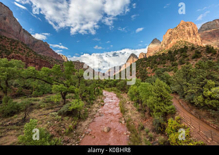 Virgin River nach einem plötzlichen Sturzflut. Zion National Park, Hurricane, Washington County, Utah, USA. Stockfoto