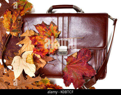 Braun Leder Aktentasche und Herbst Laub. Isoliert auf weißem Hintergrund. Stockfoto