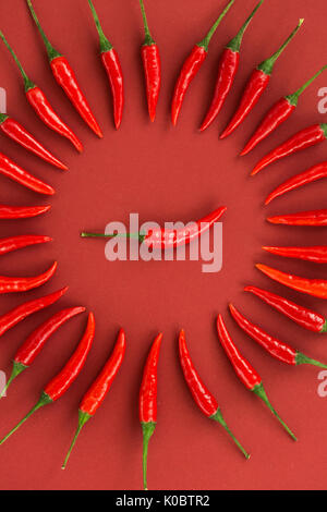 Red Hot Chili Peppers, beliebte Gewürze Konzept - close up auf dekorative Kreis ist von red hot pepper Pods auf rotem Hintergrund, in der Mitte ist ein kaffeepad, Ansicht von oben, flach. Stockfoto
