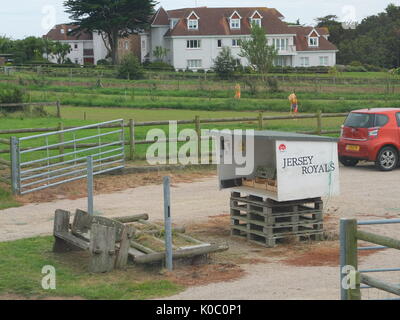 Eine Ehrlichkeit stall verkaufen Jersey Royal Kartoffeln auf einem Bauernhof in St. Brelade, Jersey, Channel Islands Stockfoto