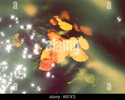 Film-Korn-Effekt. Gefallenen Buche Blätter und Steinen im Wasser des Gebirgsflusses. Farben des Herbstes. Symbol der Herbstsaison.  Orange verfaulte Blätter Stockfoto