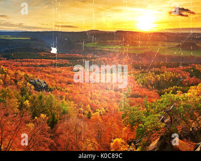 Film-Korn-Effekt. Frische Farben des herbstlichen Waldes.  Blick über Birken und Kiefern Wald, tiefes Tal. Herbstliche Landschaft Stockfoto
