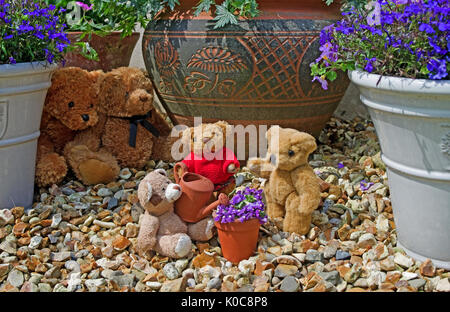 Garten Tableau 3 kleine teddies Bewässerung einen kleinen Blumentopf mit mini Ton Gießkanne, im Hintergrund durch 2 größere haarigen Bären beobachtet. Stockfoto