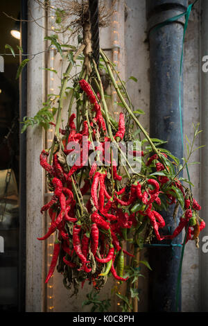 Bündel von Hot red Chilli Peppers auf dem Markt Stockfoto
