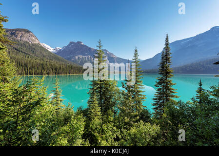 Emerald Lake bei Sonnenaufgang im Yoho National Park, British Columbia, Kanada. Stockfoto