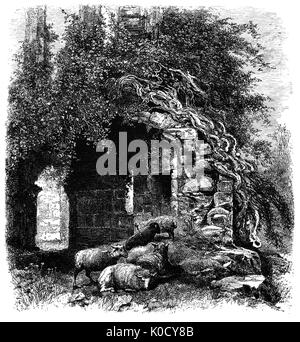 1870: Schafe Zuflucht in einem Torbogen in ruiniert Kenilworth Castle in den 1120s um ein leistungsfähiges Norman grosse Turm gegründet. Es ist in der Stadt mit dem gleichen Namen in Warwickshire, England. Von Norman durch Tudor mal gebaut, das Schloss wurde als "die schönste erhaltene Beispiel einer halb-königlichen Palast des späteren Mittelalters, für deren Umfang, Form und Qualität der Verarbeitung" beschrieben. Stockfoto